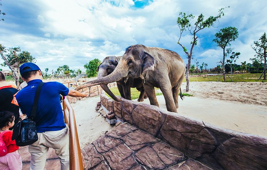 Private tour: River Safari With Candle-lit Beach Dinner From Hoi An