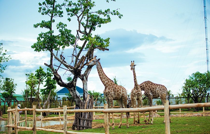 Private tour: River Safari With Candle-lit Beach Dinner From Hoi An