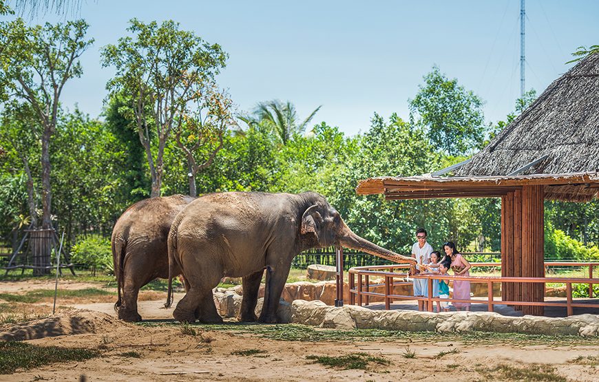 River Safari With Candle-lit Beach Dinner From Hoi An