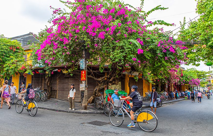 Private tour: Full-day Hoi An City Tour & My Son Sanctuary From Da Nang