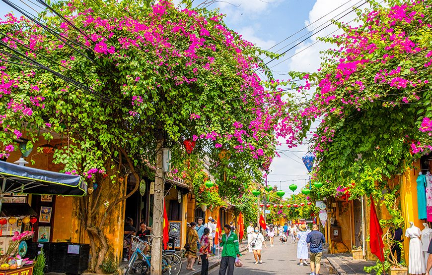 Private tour: Full-day Hoi An City Tour & My Son Sanctuary From Da Nang