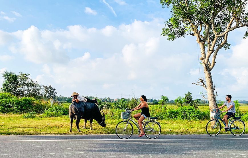 Half-day Exploring Local Life Including Cycling And Boat Trip From Hoi An