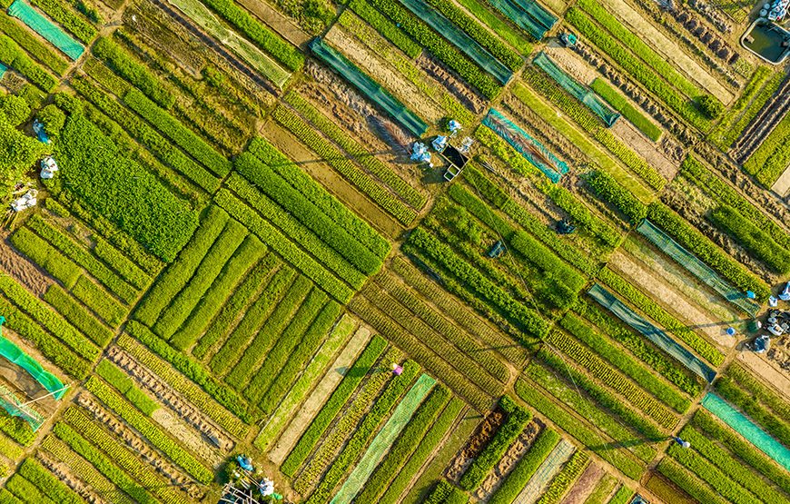 Private tour: 12 Days Laos & Vietnam