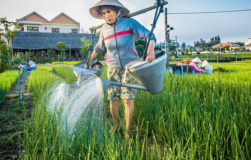 Private tour: 12 Days Laos & Vietnam