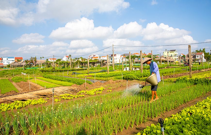 Private tour: 12 Days Laos & Vietnam