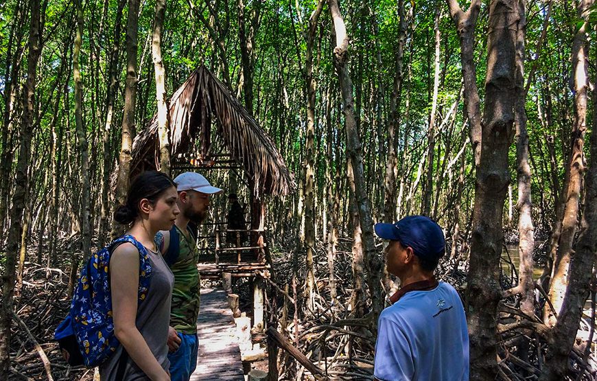 Private tour: Full-day Can Gio – Monkey Island Excursion From Ho Chi Minh City