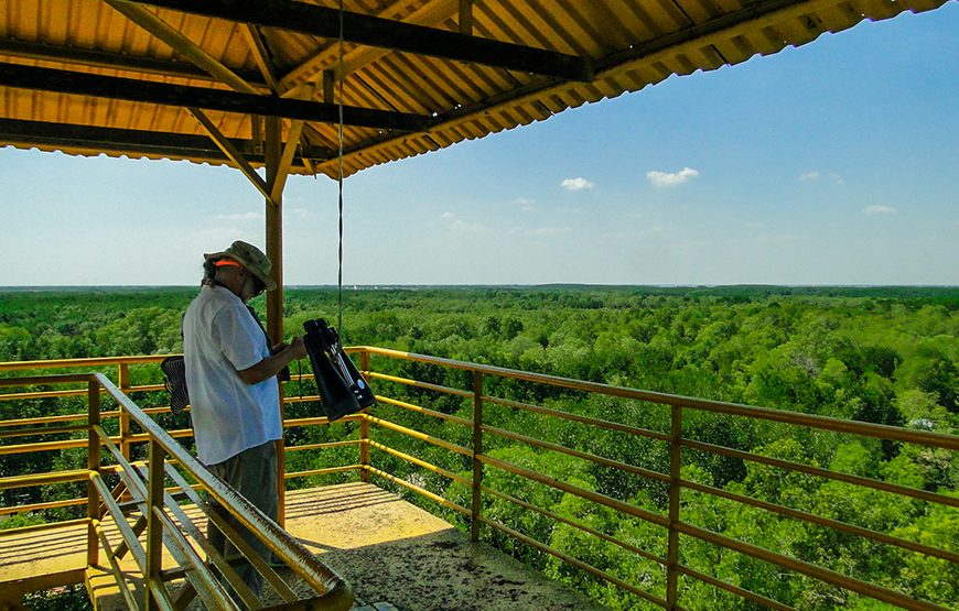 Private tour: Full-day Can Gio – Monkey Island Excursion From Ho Chi Minh City