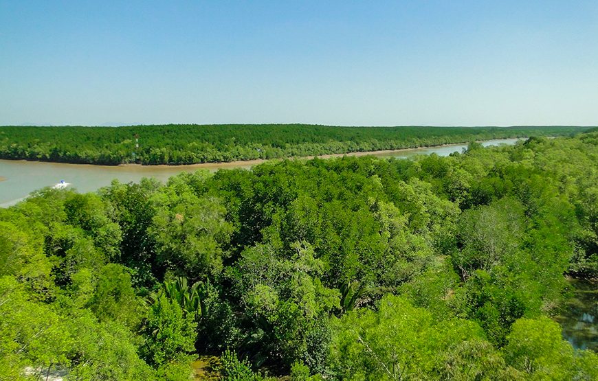 Private tour: Full-day Can Gio – Monkey Island Excursion From Ho Chi Minh City