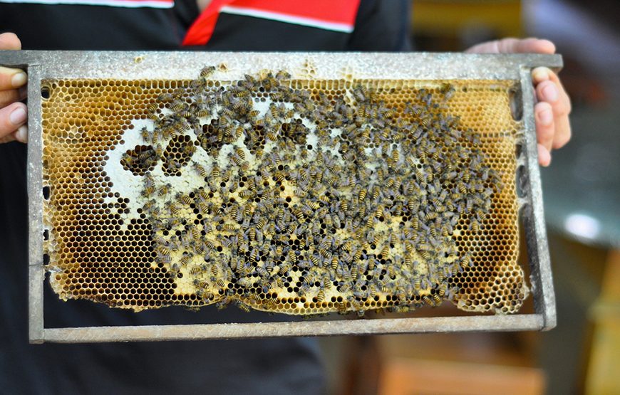 Private Tour: 21 Days Thailand, Laos, Vietnam & Cambodia