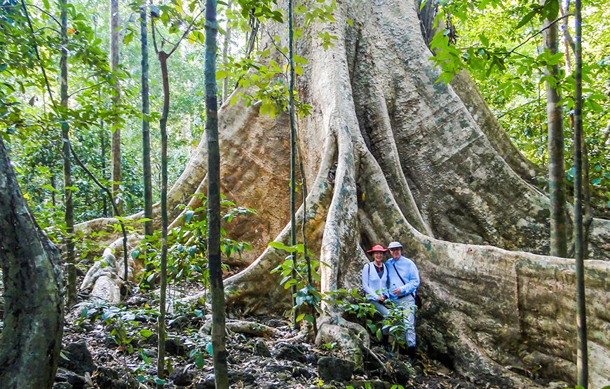 Two-day Nam Cat Tien National Park From Ho Chi Minh City