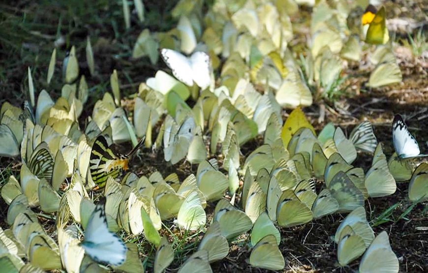 Two-day Nam Cat Tien National Park From Ho Chi Minh City