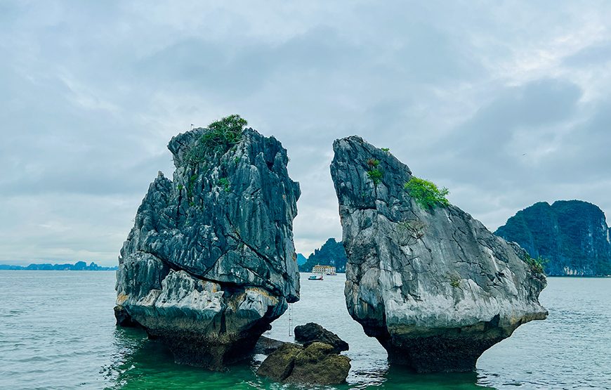 Full-day Ha Long Bay Day From Ha Noi
