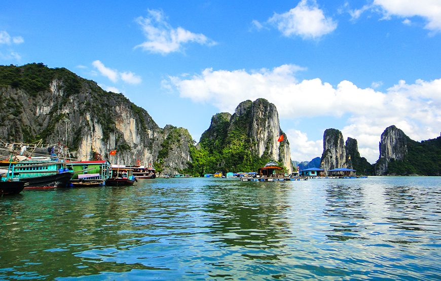 Full-day: Glamour Of Ha Long Bay From Ha Long Port