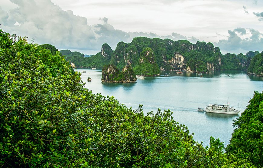 Private tour: Half-day Glamours Of Ha Long Bay From Ha Long