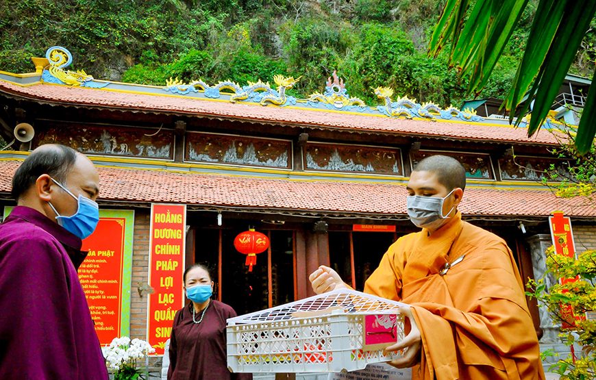 Private tour: Half-day Glamours Of Ha Long Bay From Ha Long