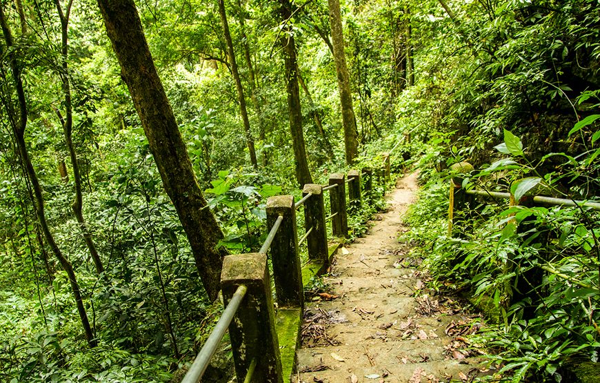 Private tour: Full-day Cuc Phuong National Park From Ha Noi