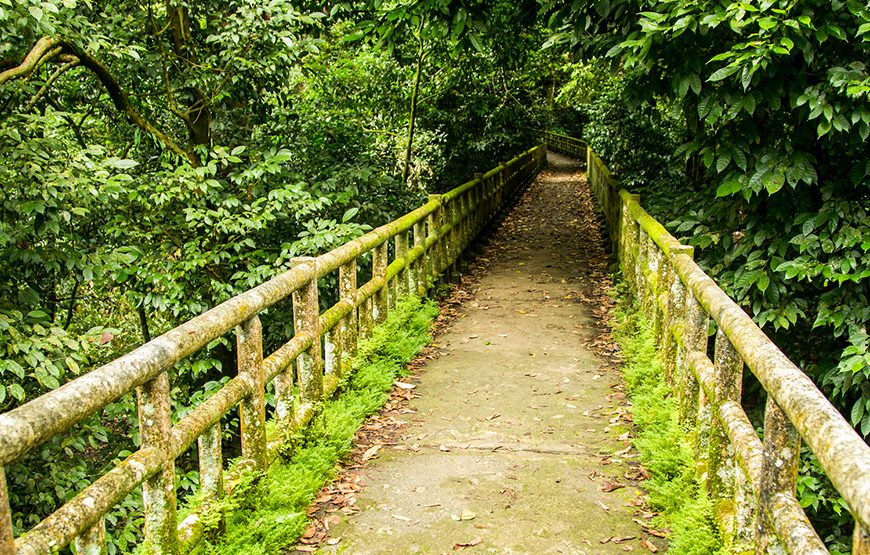 Private tour: Full-day Cuc Phuong National Park From Ha Noi