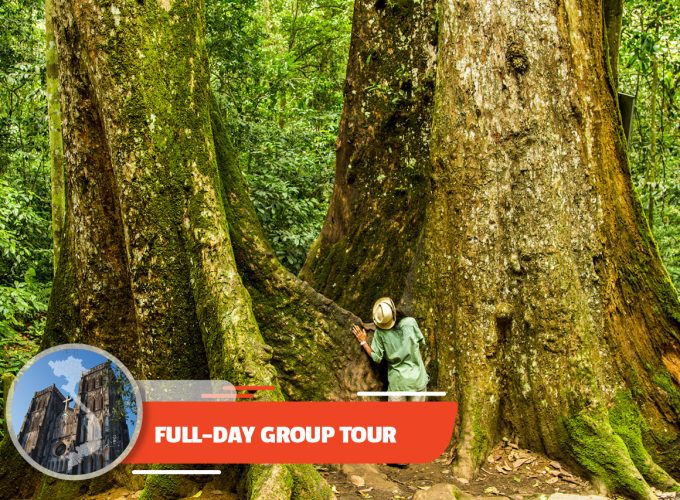 Full-day Cuc Phuong National Park From Ha Noi