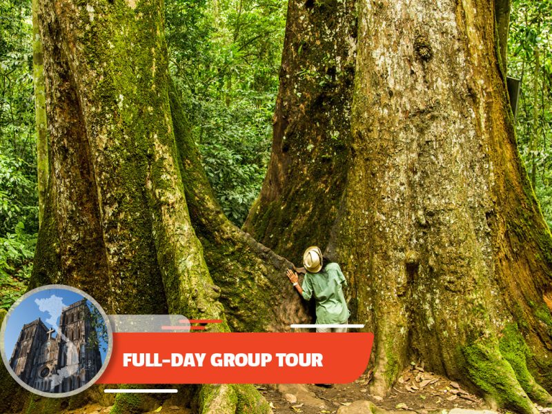 Full-day Cuc Phuong National Park From Ha Noi