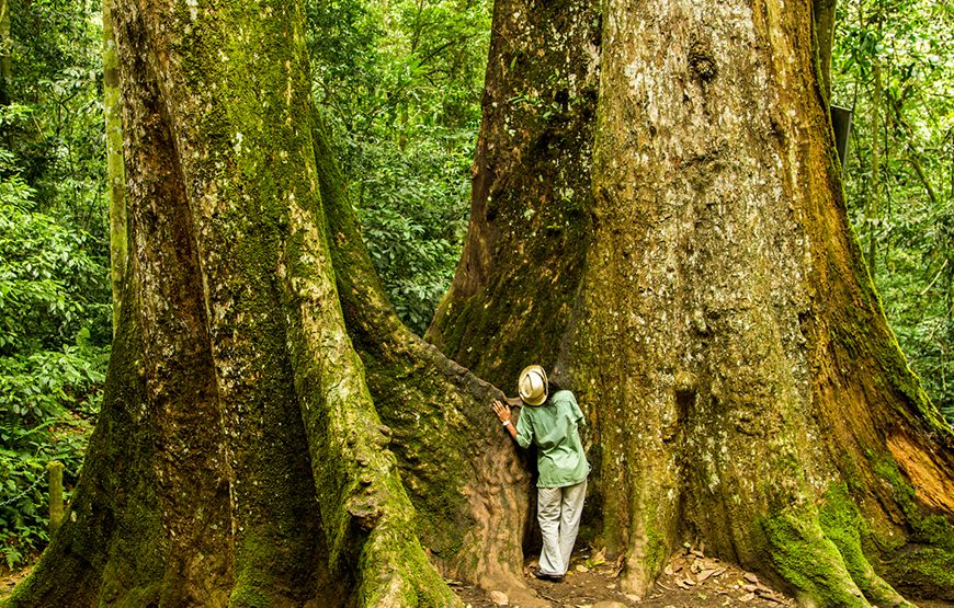 Private tour: Full-day Cuc Phuong National Park From Ha Noi