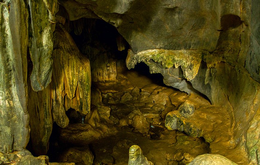 Private tour: Full-day Cuc Phuong National Park From Ha Noi