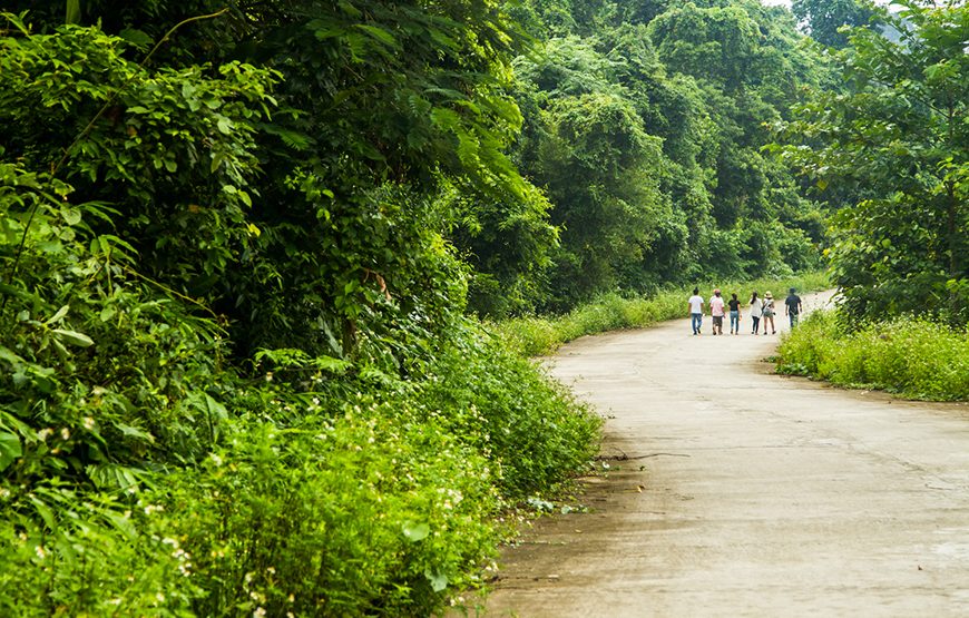 Private tour: Full-day Cuc Phuong National Park From Ha Noi