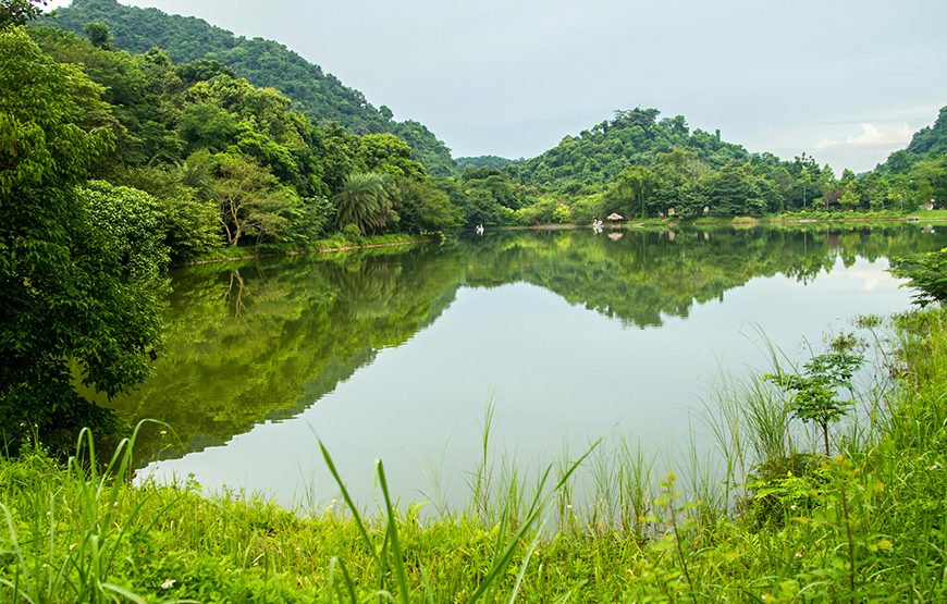 Private tour: Full-day Cuc Phuong National Park From Ha Noi
