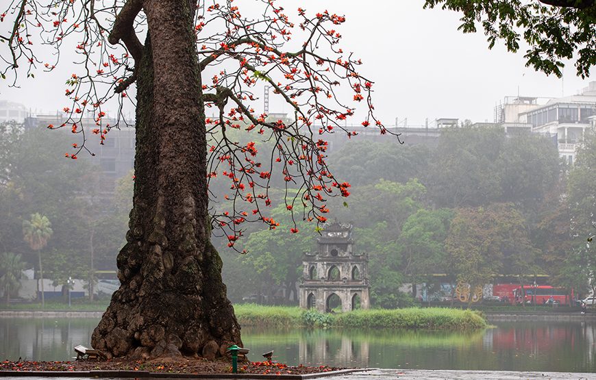 Private tour: Half-day Ha Noi City Tour