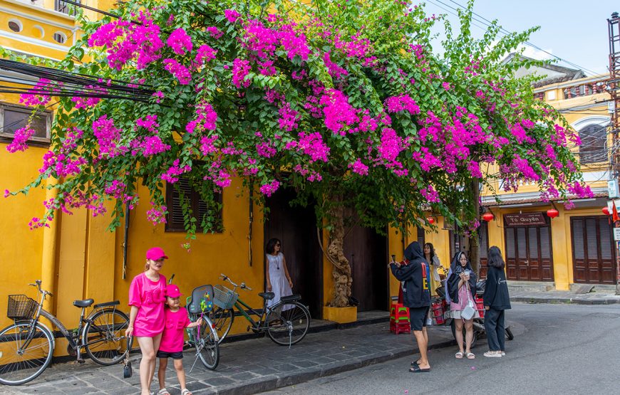 Private tour: Half-day Hoi An Ancient Town Walking Tour From Da Nang
