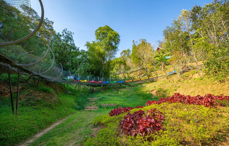 Private tour: Full-day Da Lat Adventure Tour