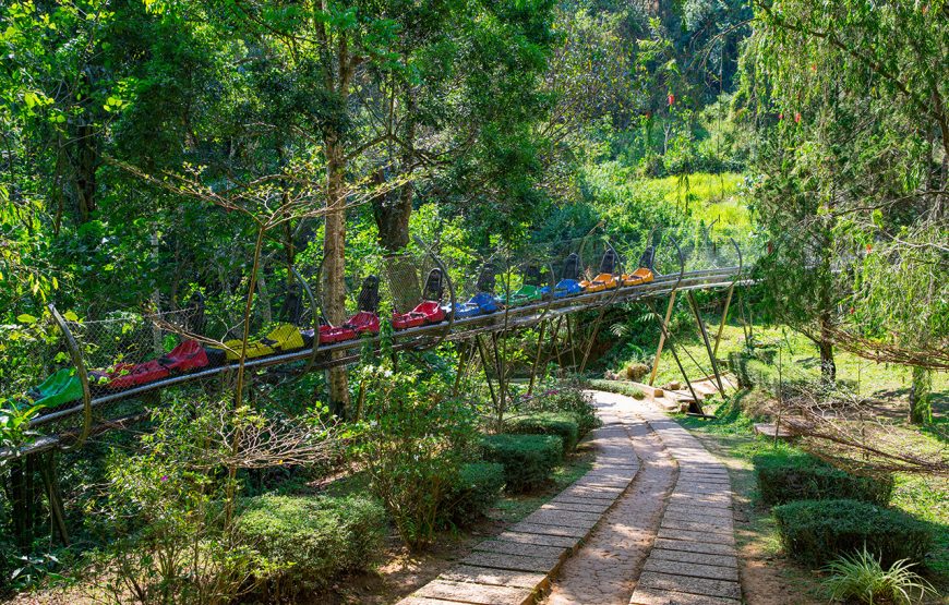 Private tour: Full-day Da Lat Adventure Tour
