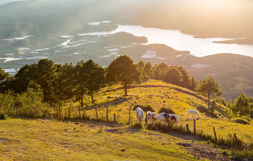 Private tour: Three-day Da Lat Flower & Waterfall City