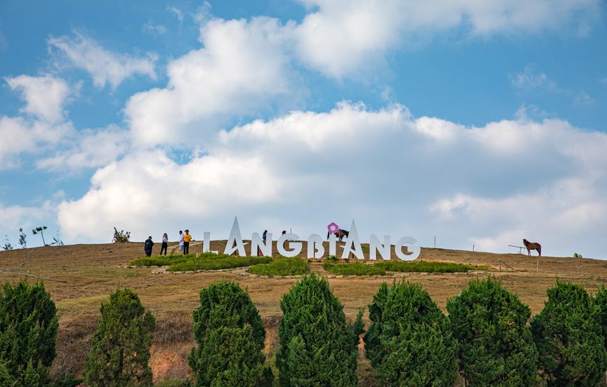 Private tour: Three-day Da Lat Flower & Waterfall City