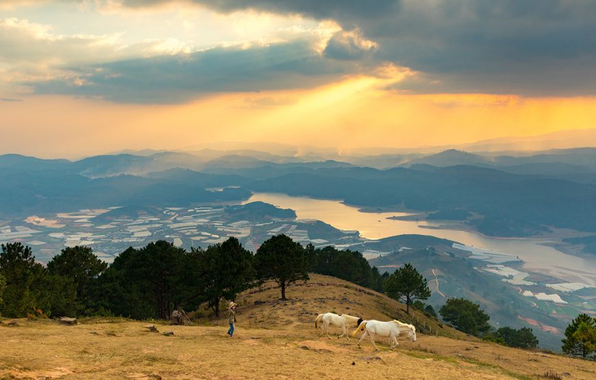 Private tour: Three-day Da Lat Flower & Waterfall City