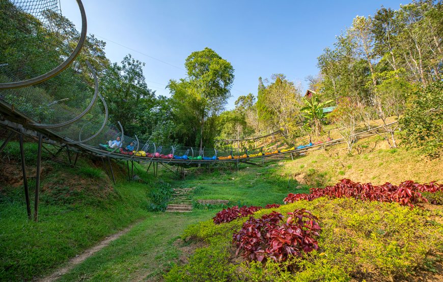 Private tour: Three-day Da Lat Flower & Waterfall City
