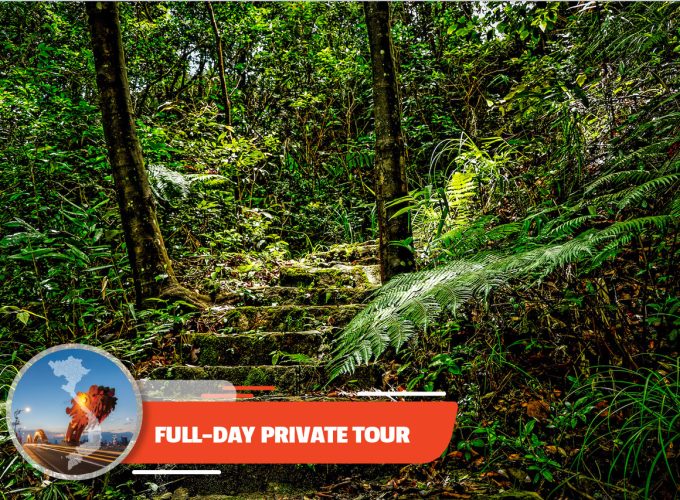 Private tour: Full-day Bach Ma National Park Trekking Tour From Da Nang