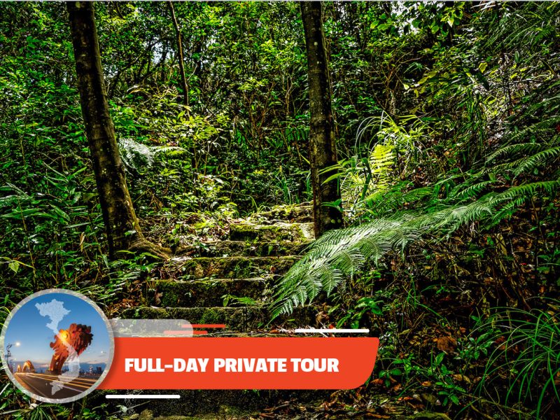 Private tour: Full-day Bach Ma National Park Trekking Tour From Da Nang