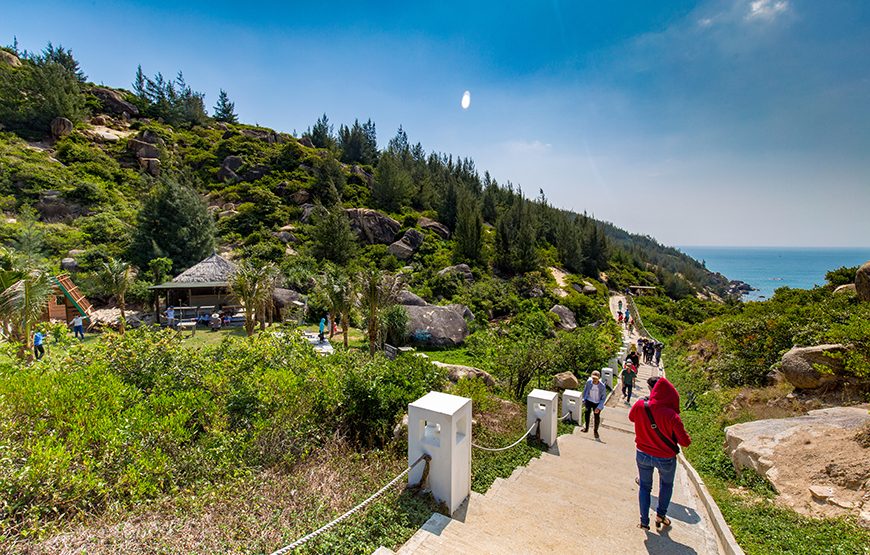 Two-day Ly Son Island Tour From Da Nang