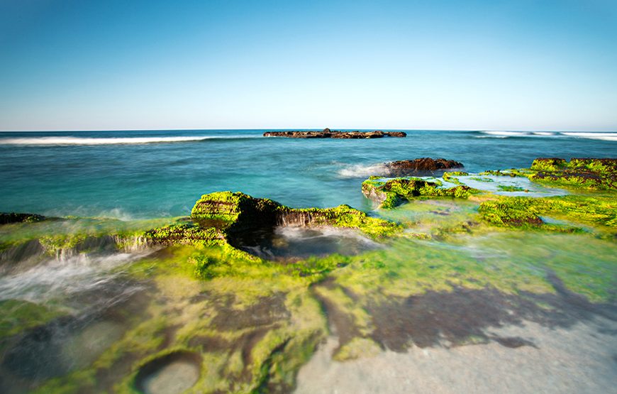 Two-day Ly Son Island Tour From Da Nang