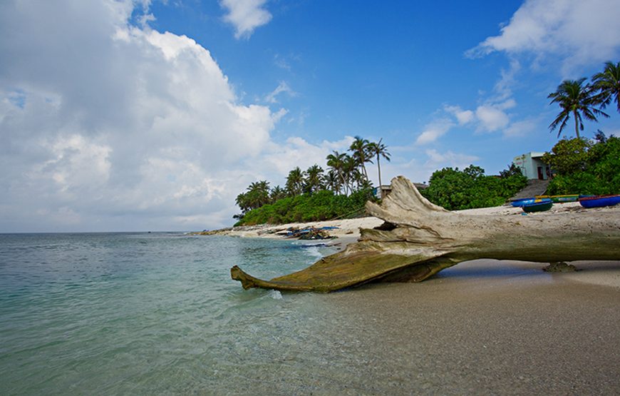 Three-day Ly Son Island, An Binh Island & Quy Nhon Tour From Da Nang