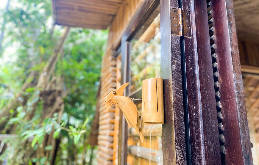 Half-day Art Of Green In Hoi An