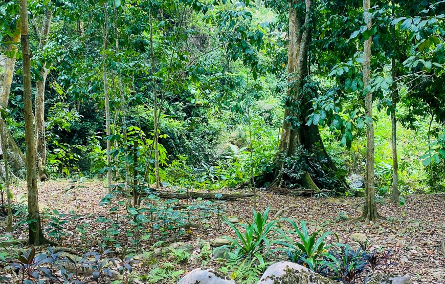 Two-day Ethnic Villages & Trekking