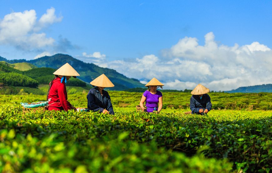 Two-day Ethnic Villages & Trekking