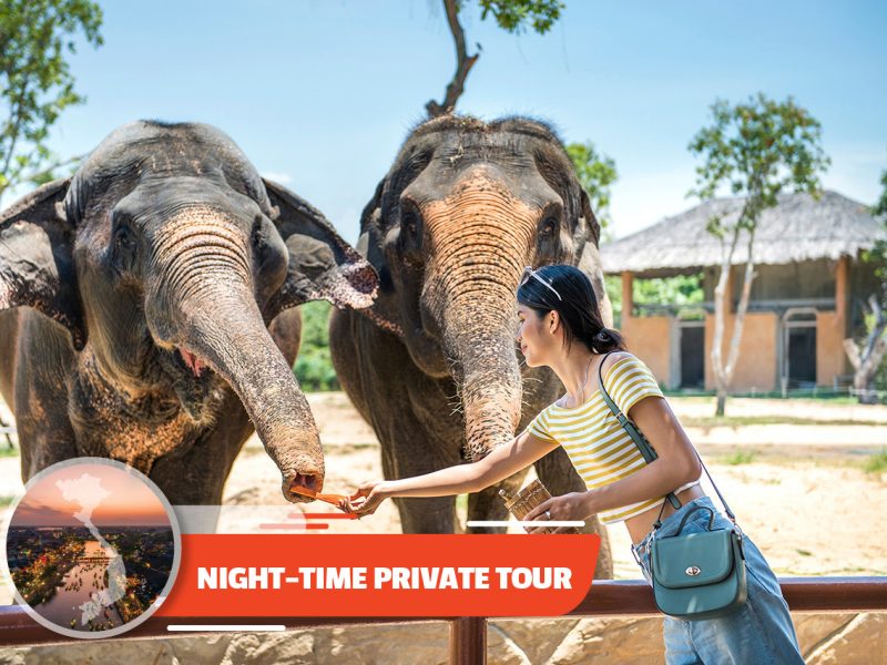 Private tour: River Safari With Candle-lit Beach Dinner From Hoi An
