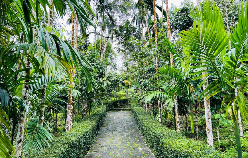 Private tour: Two-day Loc Yen – Phu Ninh