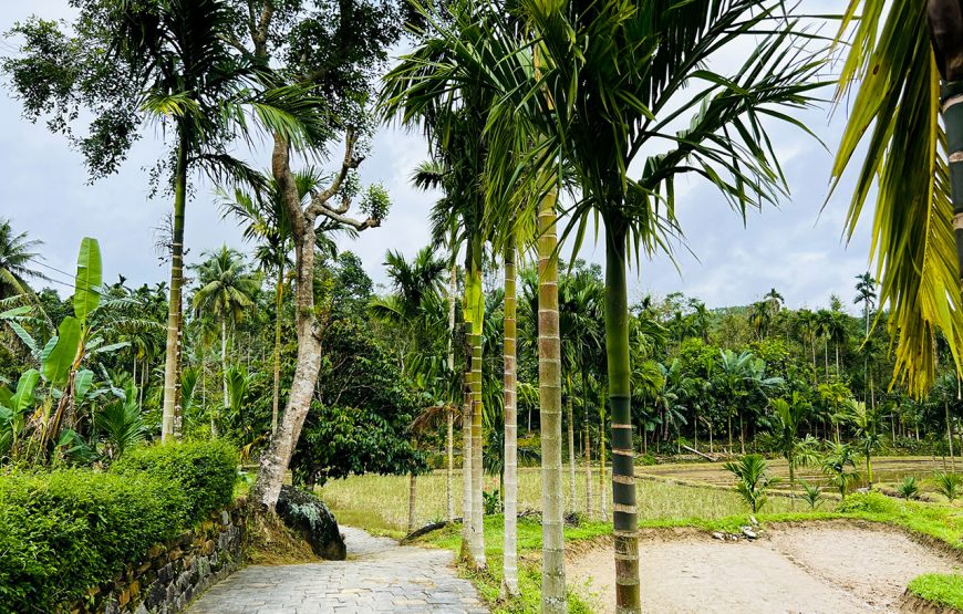 Private tour: Two-day Loc Yen – Phu Ninh