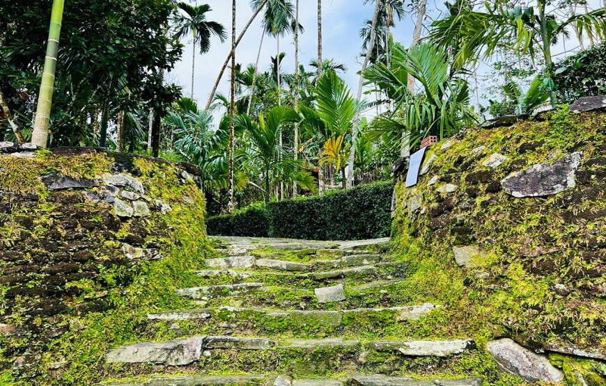 Private tour: Two-day Loc Yen – Phu Ninh