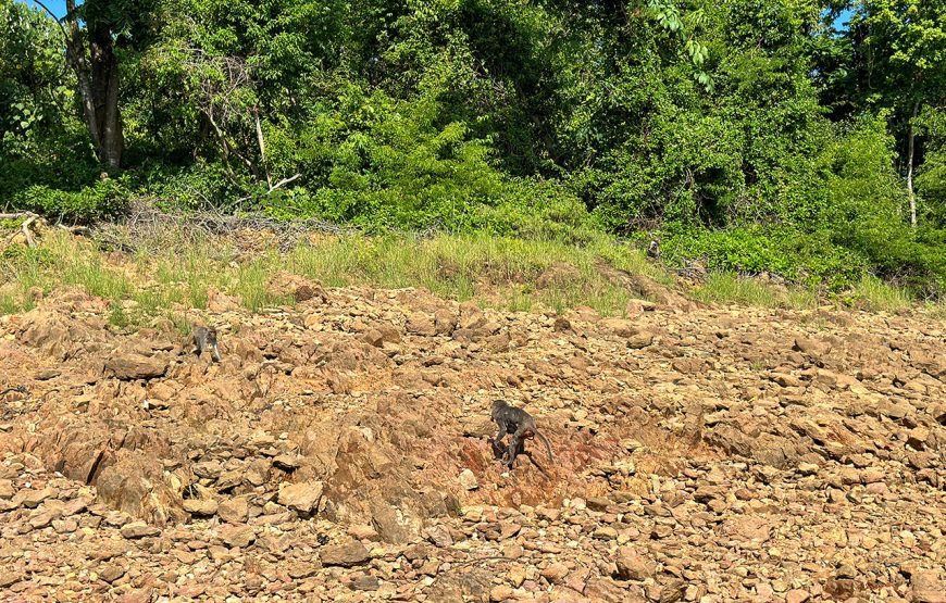 Private tour: Two-day Loc Yen – Phu Ninh