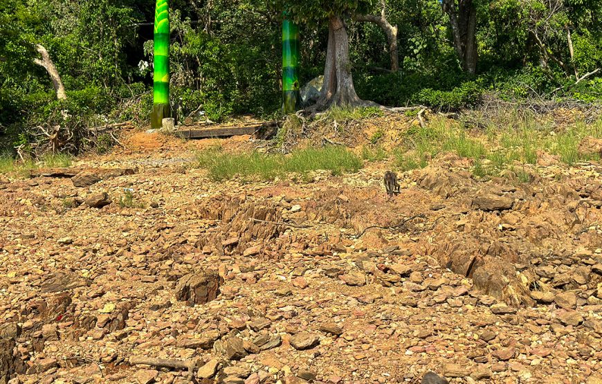 Private tour: Two-day Loc Yen – Phu Ninh