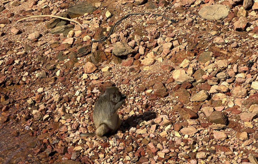 Private tour: Two-day Loc Yen – Phu Ninh